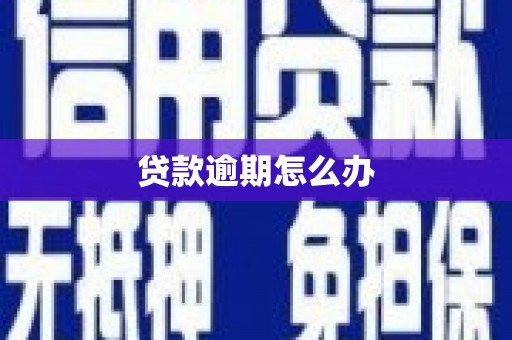 垣曲贷款逾期怎么办