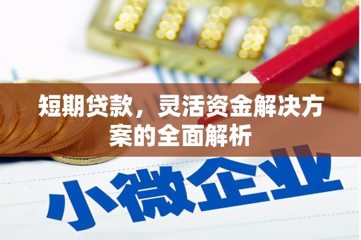 垣曲短期贷款，灵活资金解决方案的全面解析