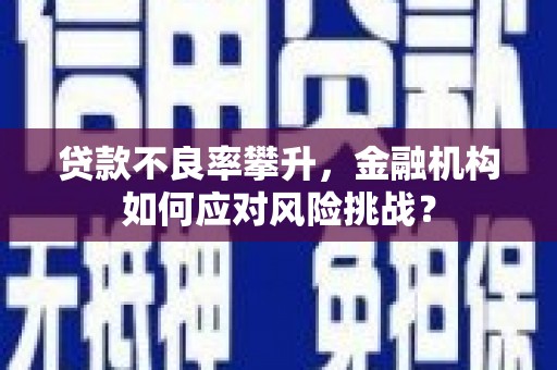 垣曲贷款不良率攀升，金融机构如何应对风险挑战？