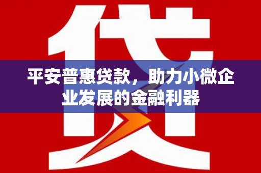 垣曲平安普惠贷款，助力小微企业发展的金融利器
