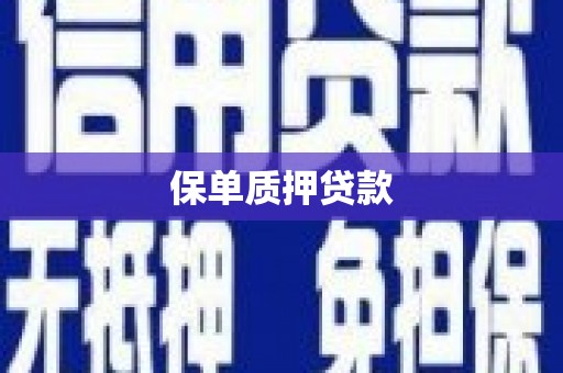 垣曲保单质押贷款