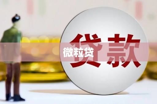 垣曲微粒贷