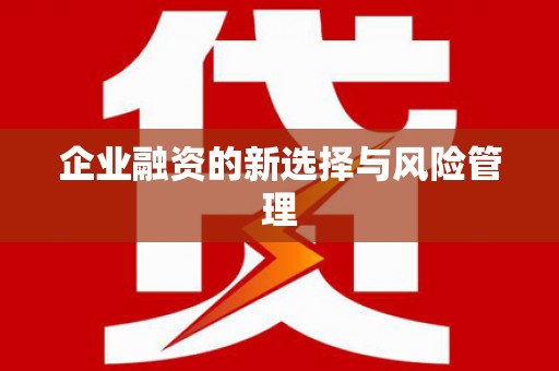 垣曲企业融资的新选择与风险管理