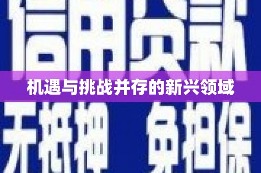 垣曲机遇与挑战并存的新兴领域