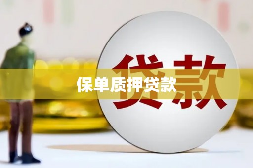 垣曲保单质押贷款