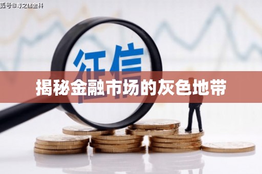 垣曲揭秘金融市场的灰色地带