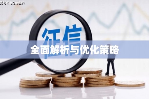 垣曲全面解析与优化策略