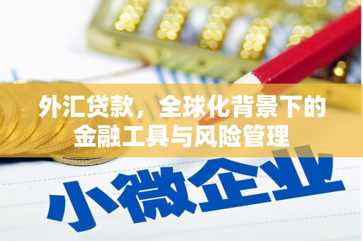 垣曲外汇贷款，全球化背景下的金融工具与风险管理