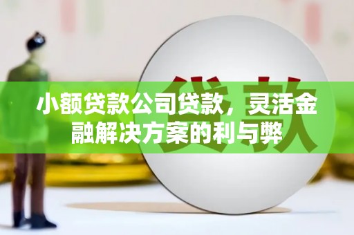 垣曲小额贷款公司贷款，灵活金融解决方案的利与弊